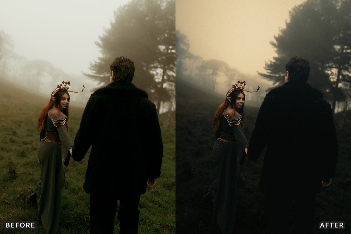 Gothic Romance Lightroom Presets before and after photo example 17