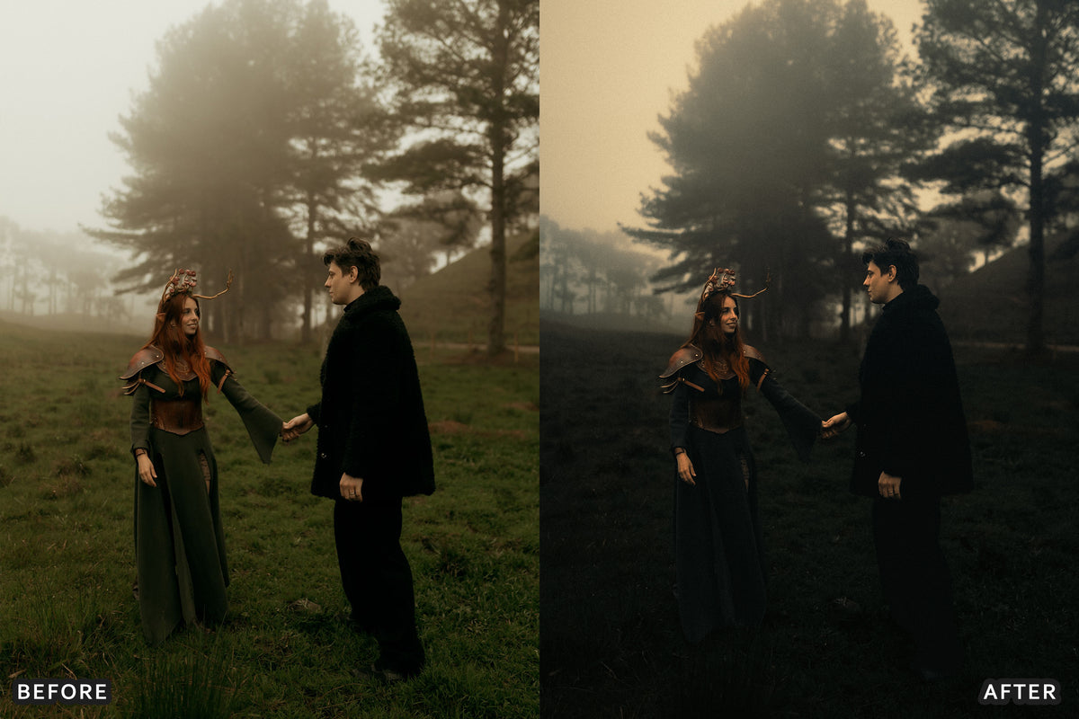 Gothic Romance Lightroom Presets before and after photo example 20