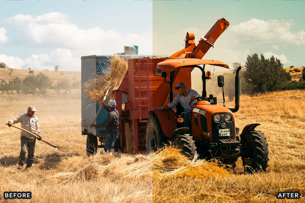 Harvest Farm Lightroom Presets before and after photo example 05