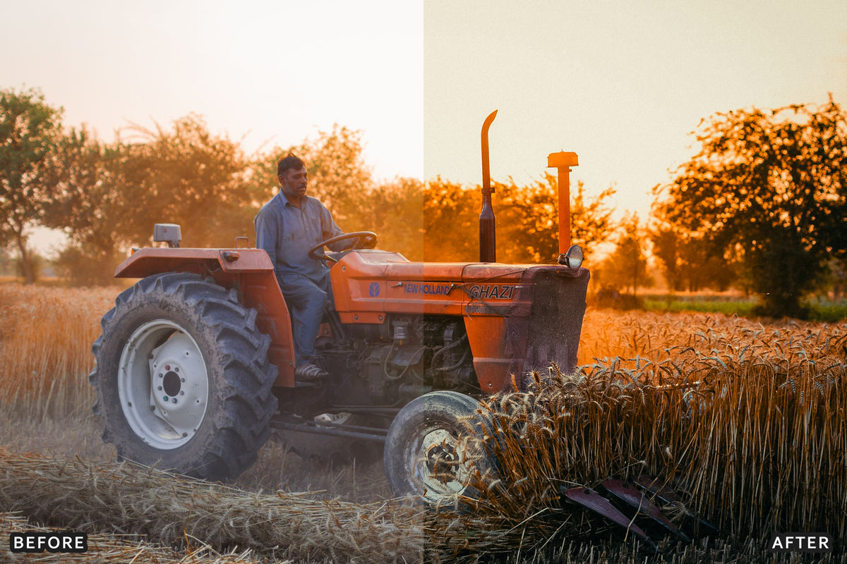 Harvest Farm Lightroom Presets before and after photo example 06