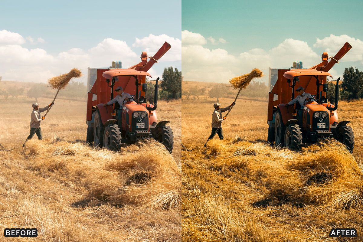 Harvest Farm Lightroom Presets before and after photo example 09