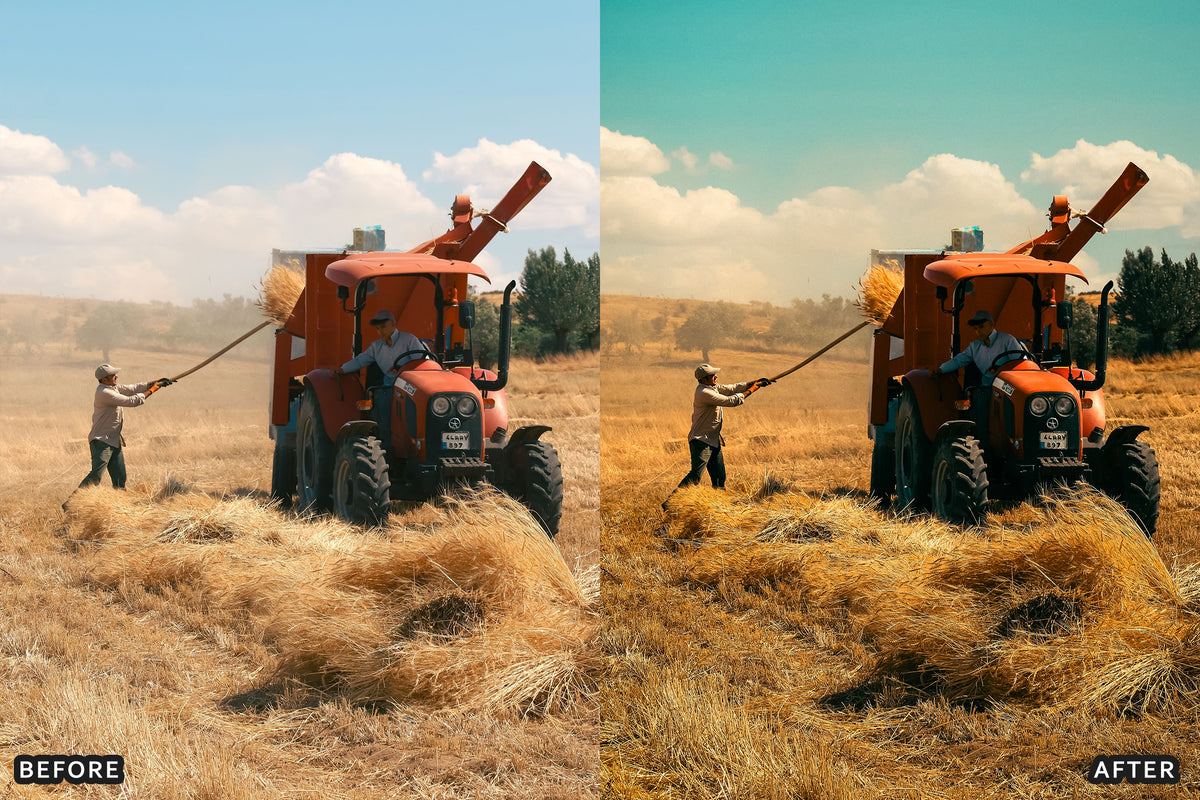 Harvest Farm Lightroom Presets before and after photo example 10