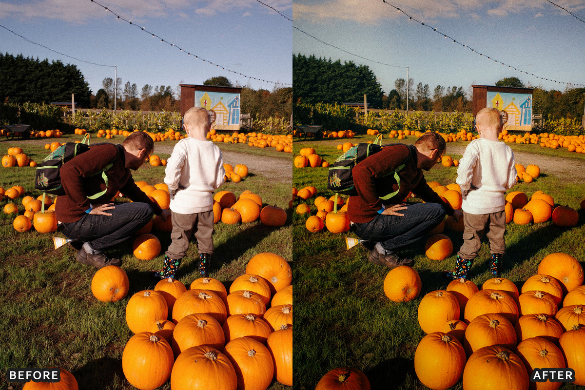 Pumpkin Patch Family Lightroom Presets before and after photo example 01