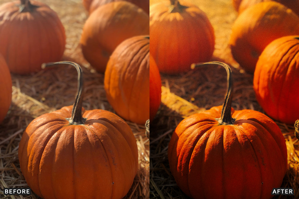Pumpkin Patch Family Lightroom Presets before and after photo example 08
