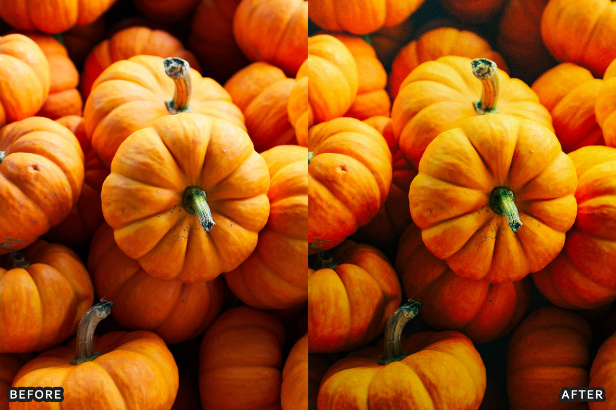Pumpkin Patch Family Lightroom Presets before and after photo example 09