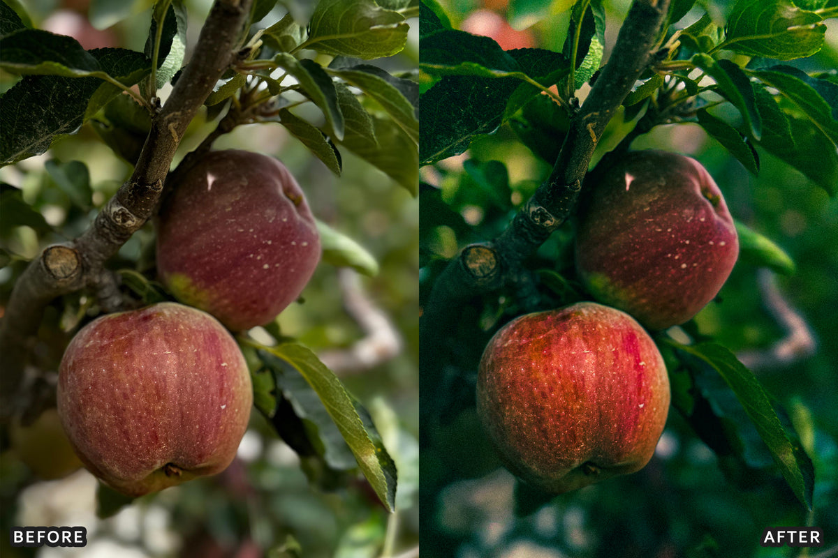 AI-Optimized Golden Apple Orchard Lightroom Presets
