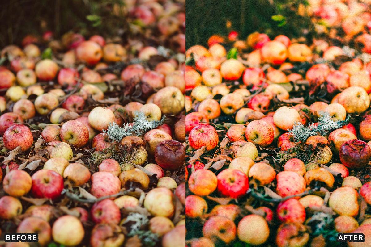 AI-Optimized Golden Apple Orchard Lightroom Presets