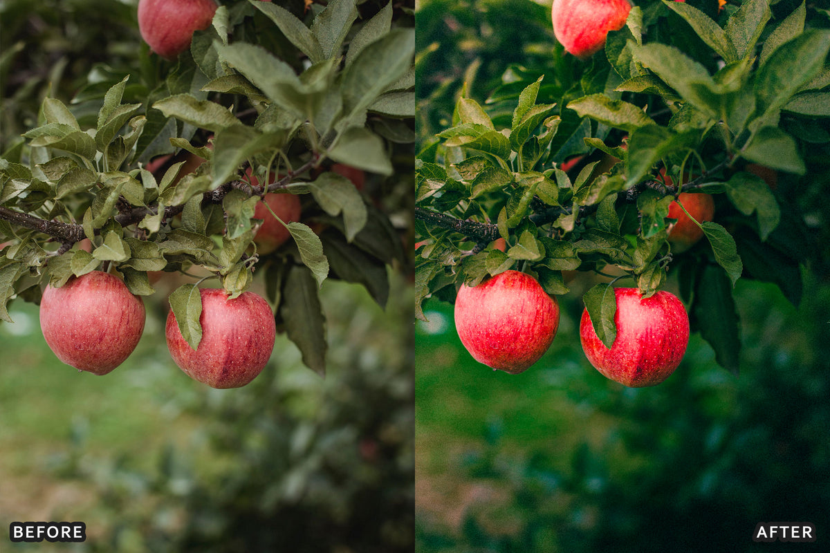 AI-Optimized Golden Apple Orchard Lightroom Presets