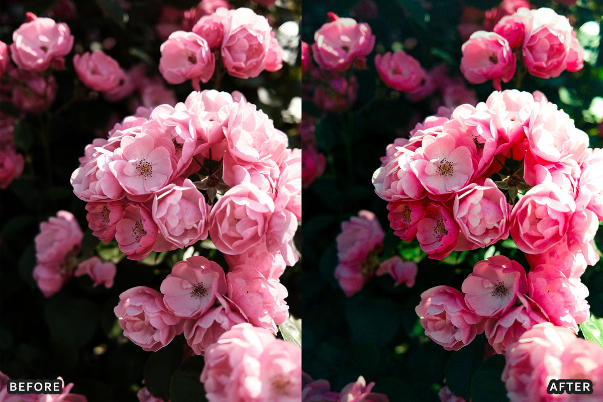 AI-Optimized Rose Velvet Bloom Lightroom Presets
