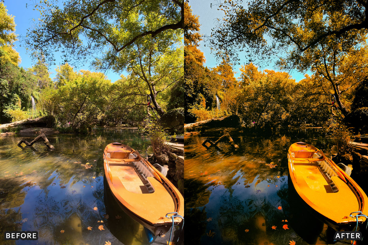 AI-Optimized Misty Autumn Forest Lightroom Presets