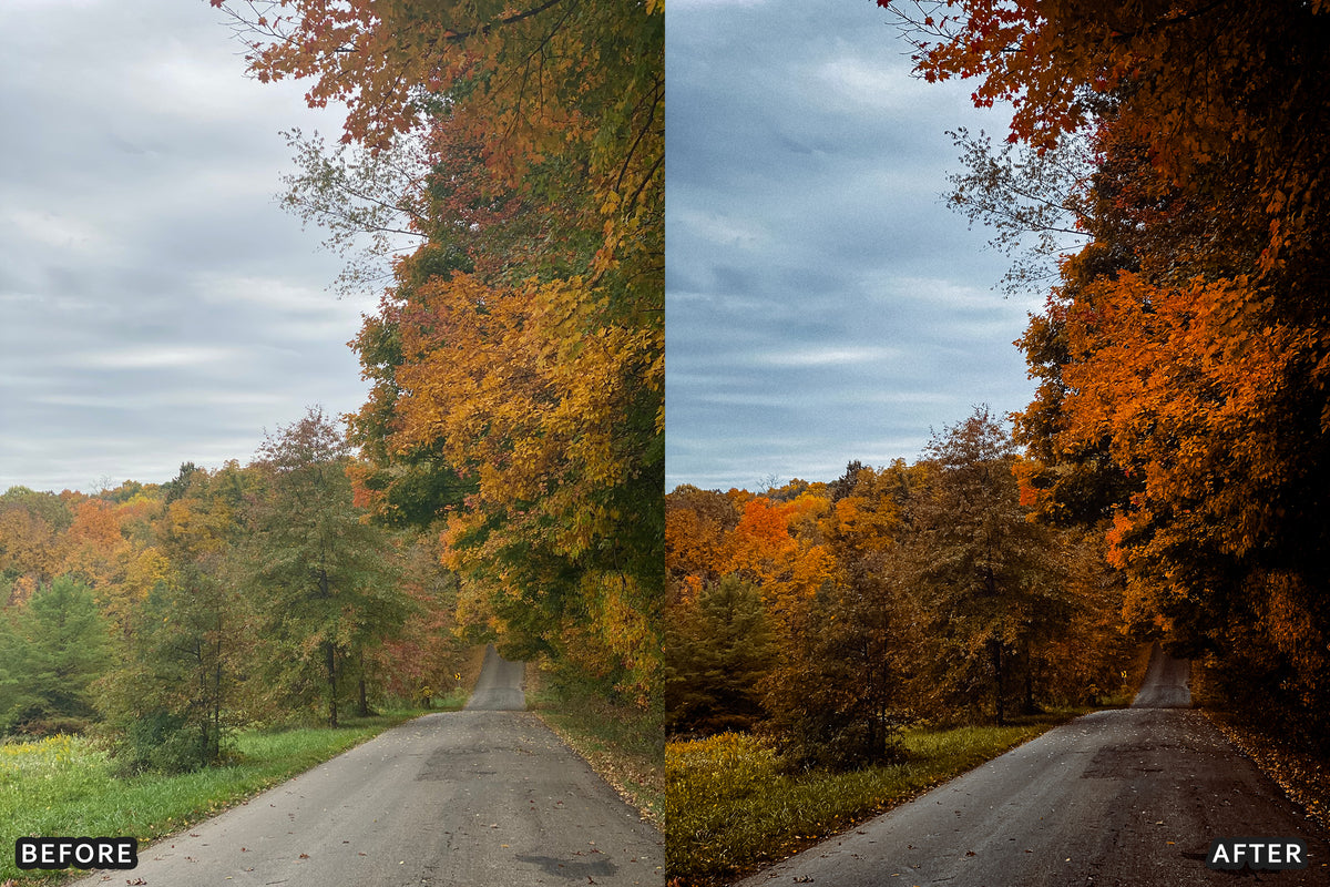 AI-Optimized Misty Autumn Forest Lightroom Presets