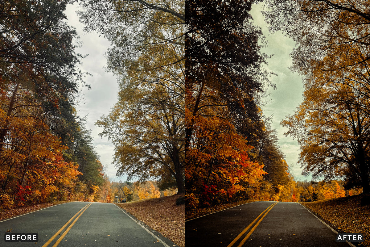 AI-Optimized Misty Autumn Forest Lightroom Presets