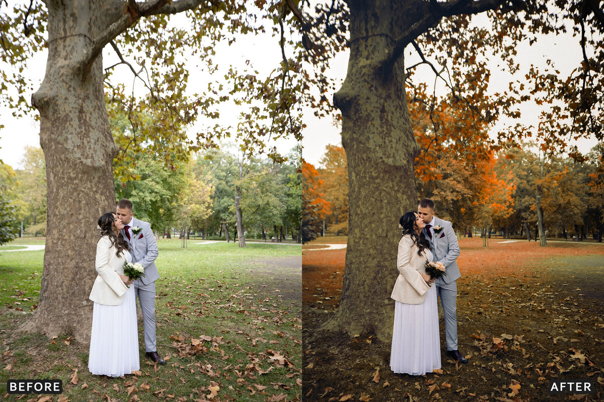 AI-Optimized Autumn Wedding Film Lightroom Presets