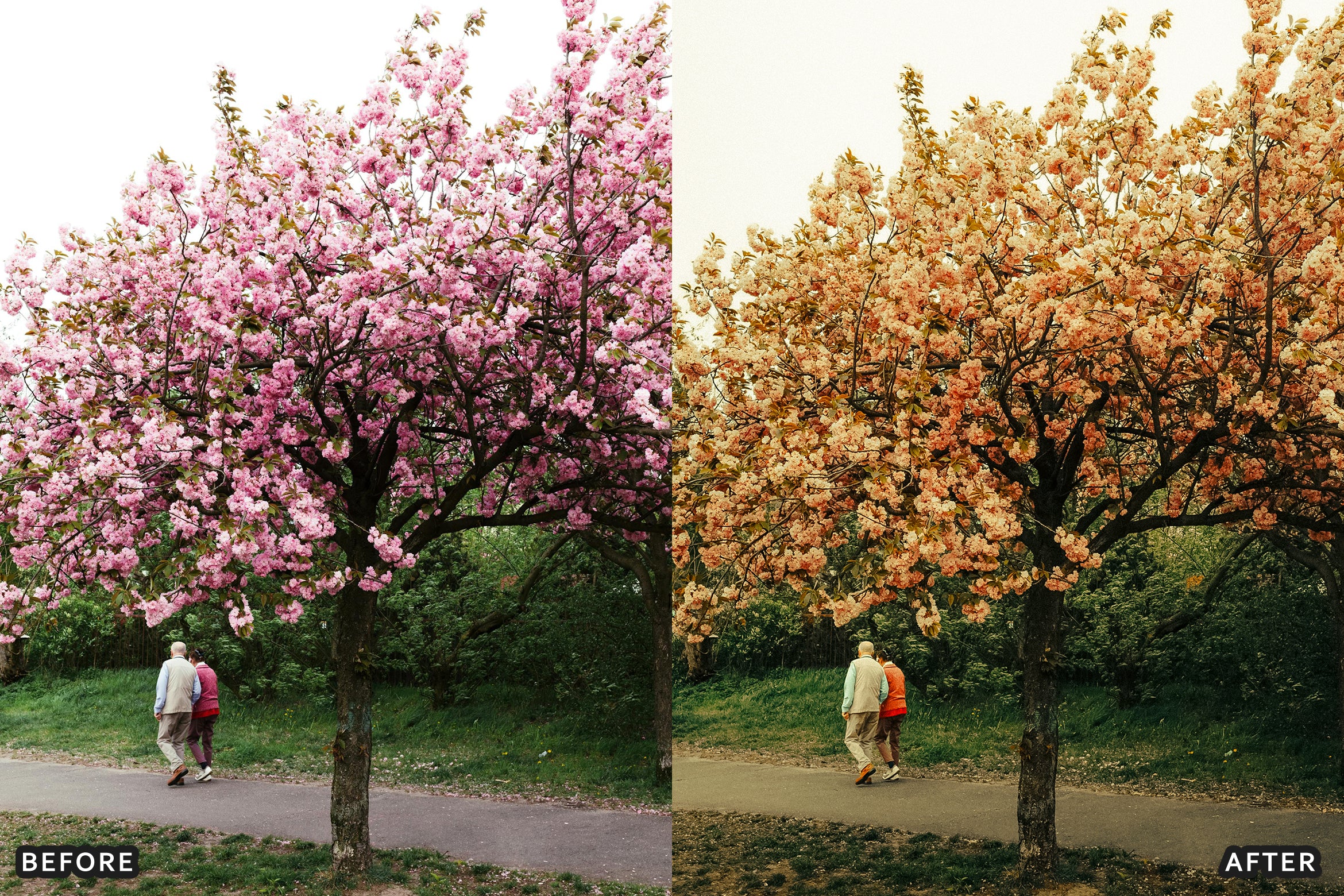 AI-Optimized Cinematic Japan Anime Dreamy Lightroom Presets