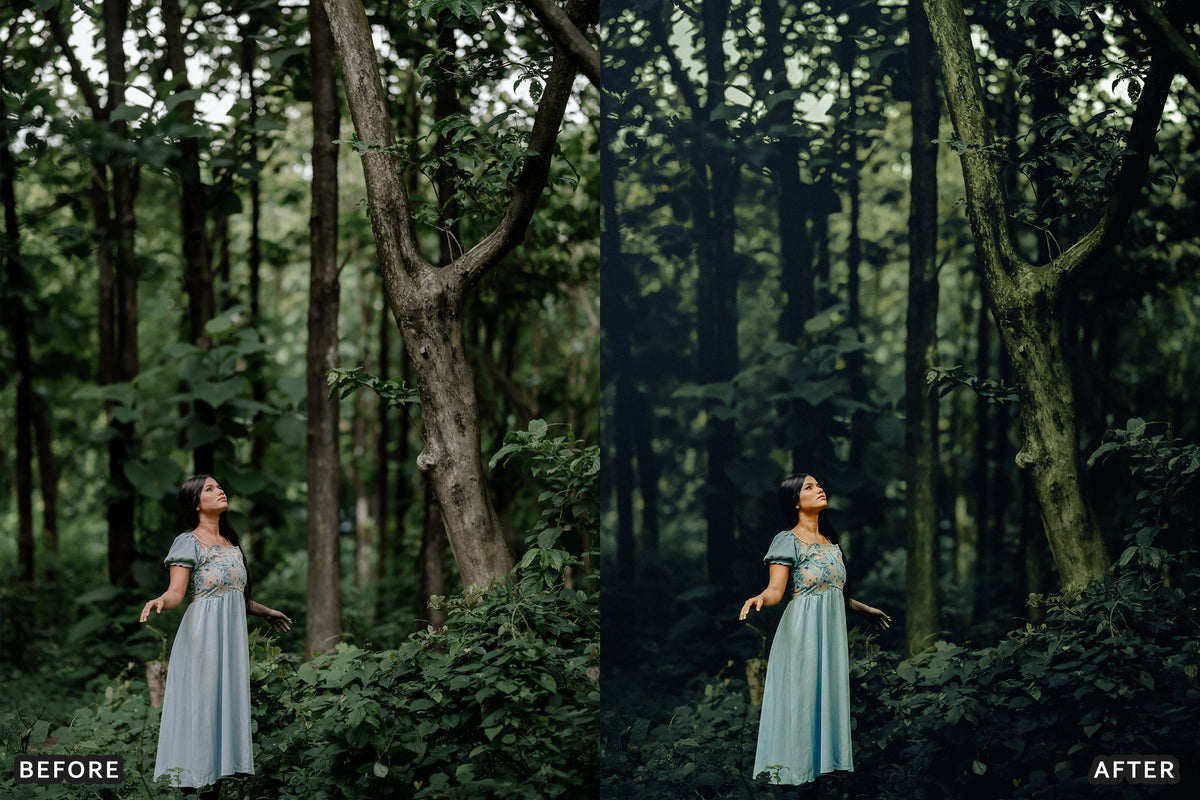 AI-Optimized Olive Suede Lightroom Presets
