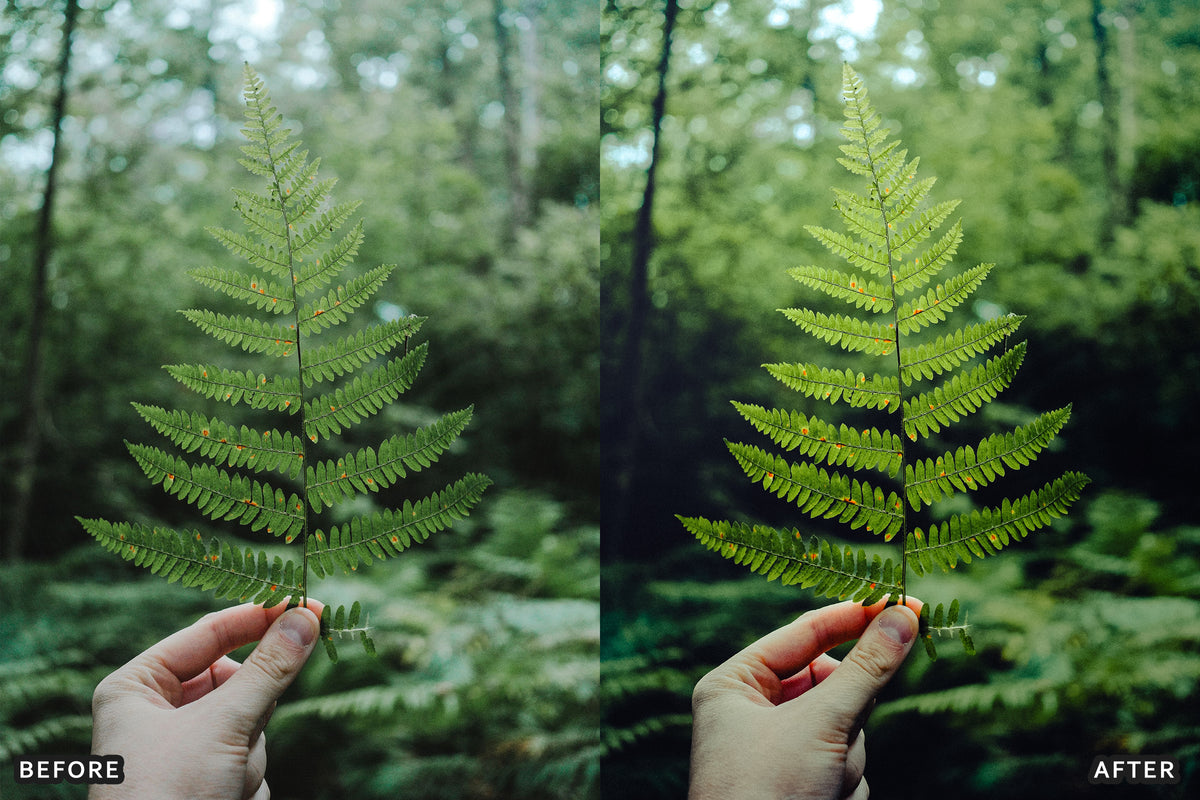 AI-Optimized Olive Suede Lightroom Presets