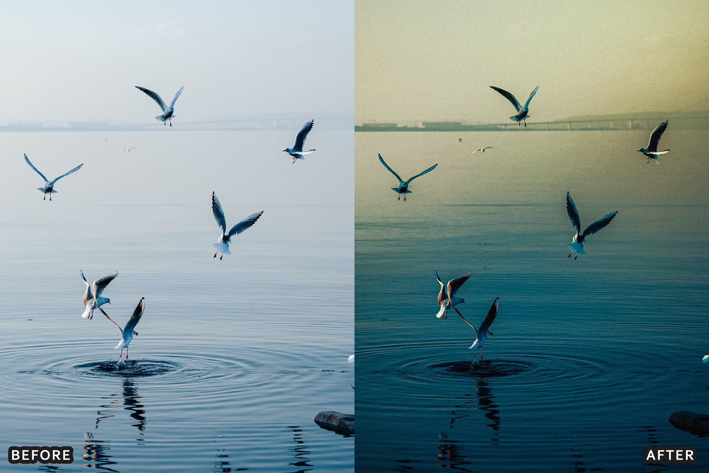 AI-Optimized Sea Glass Summer Lightroom Presets