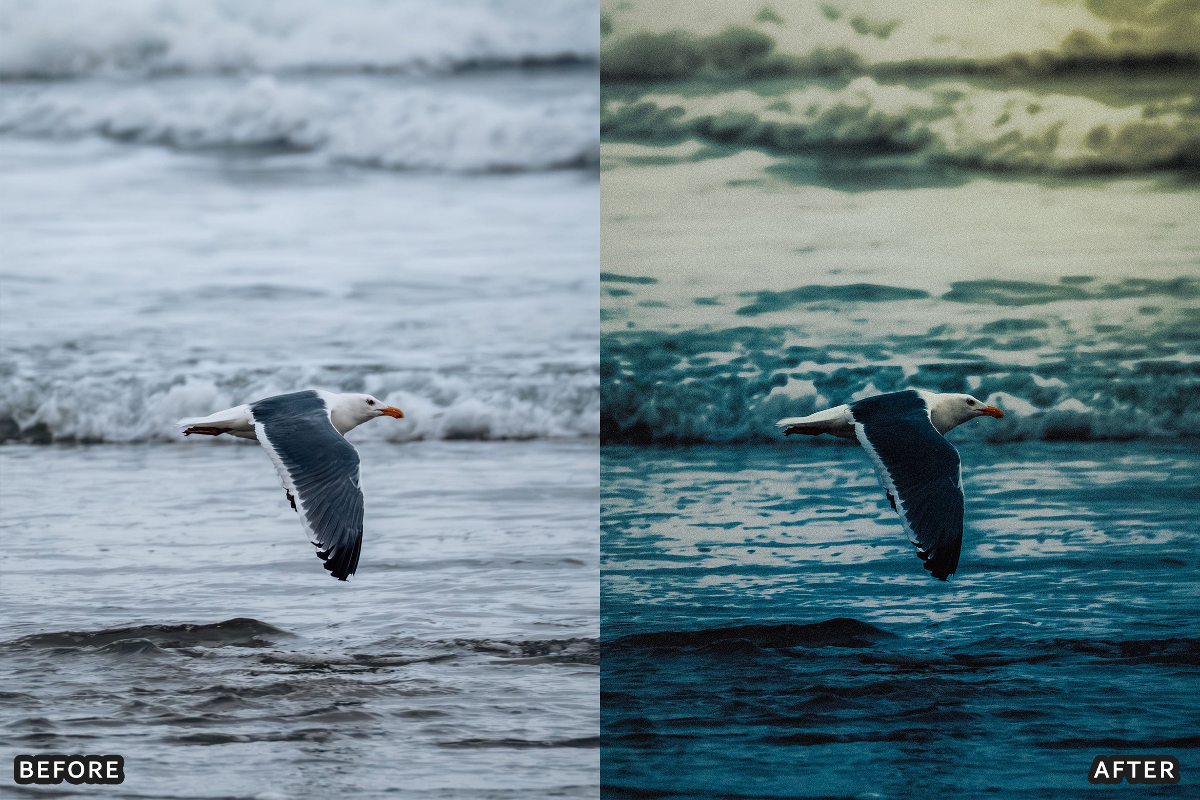 AI-Optimized Sea Glass Summer Lightroom Presets