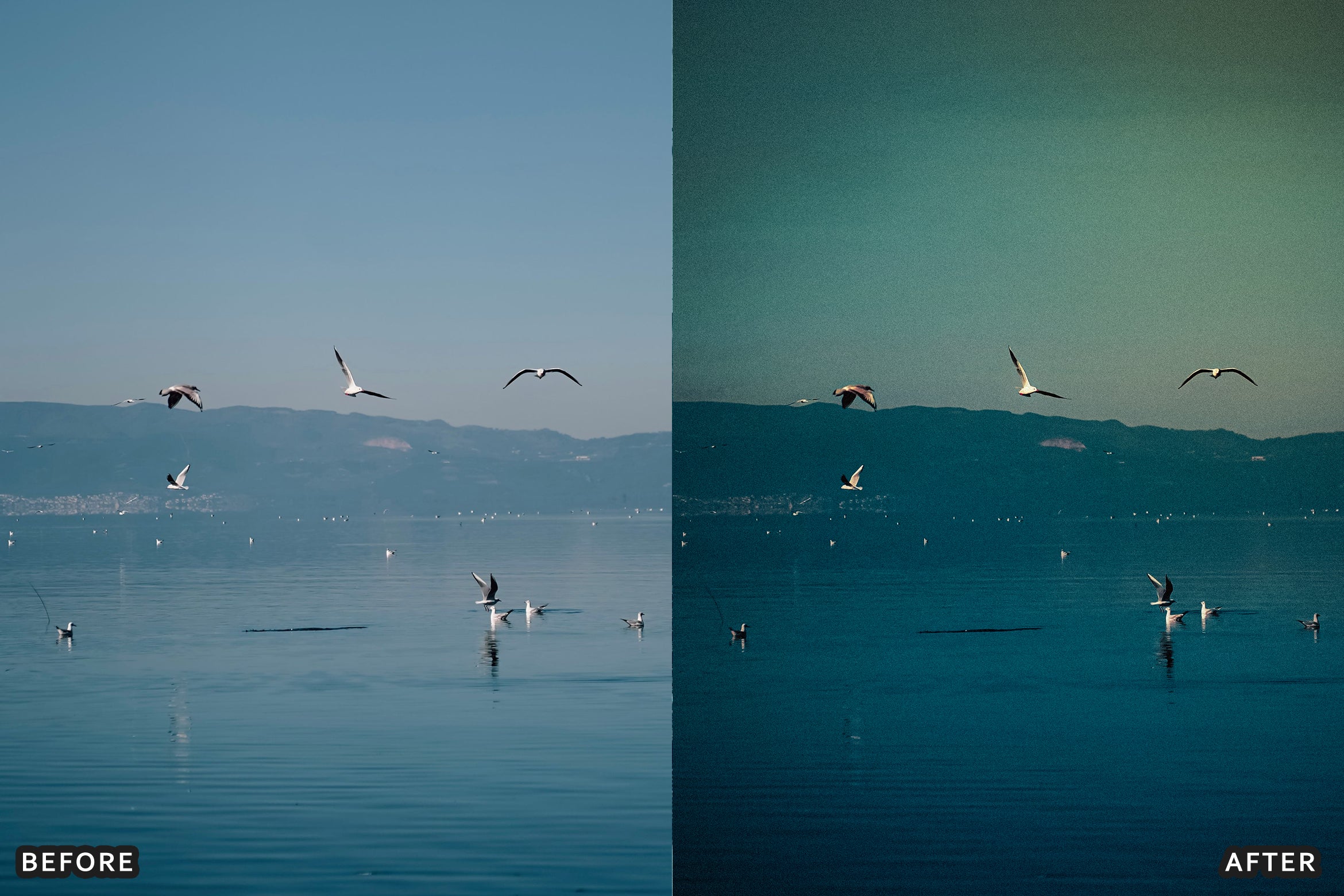 AI-Optimized Sea Glass Summer Lightroom Presets