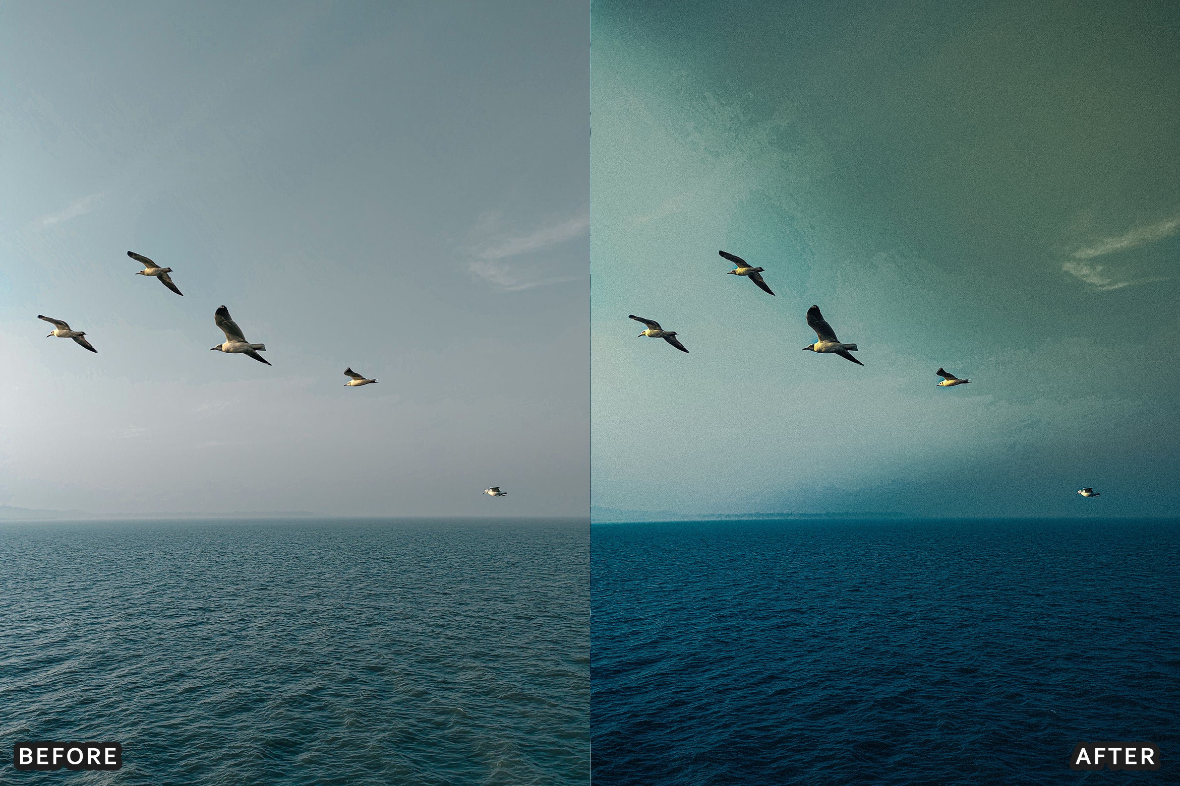 AI-Optimized Sea Glass Summer Lightroom Presets
