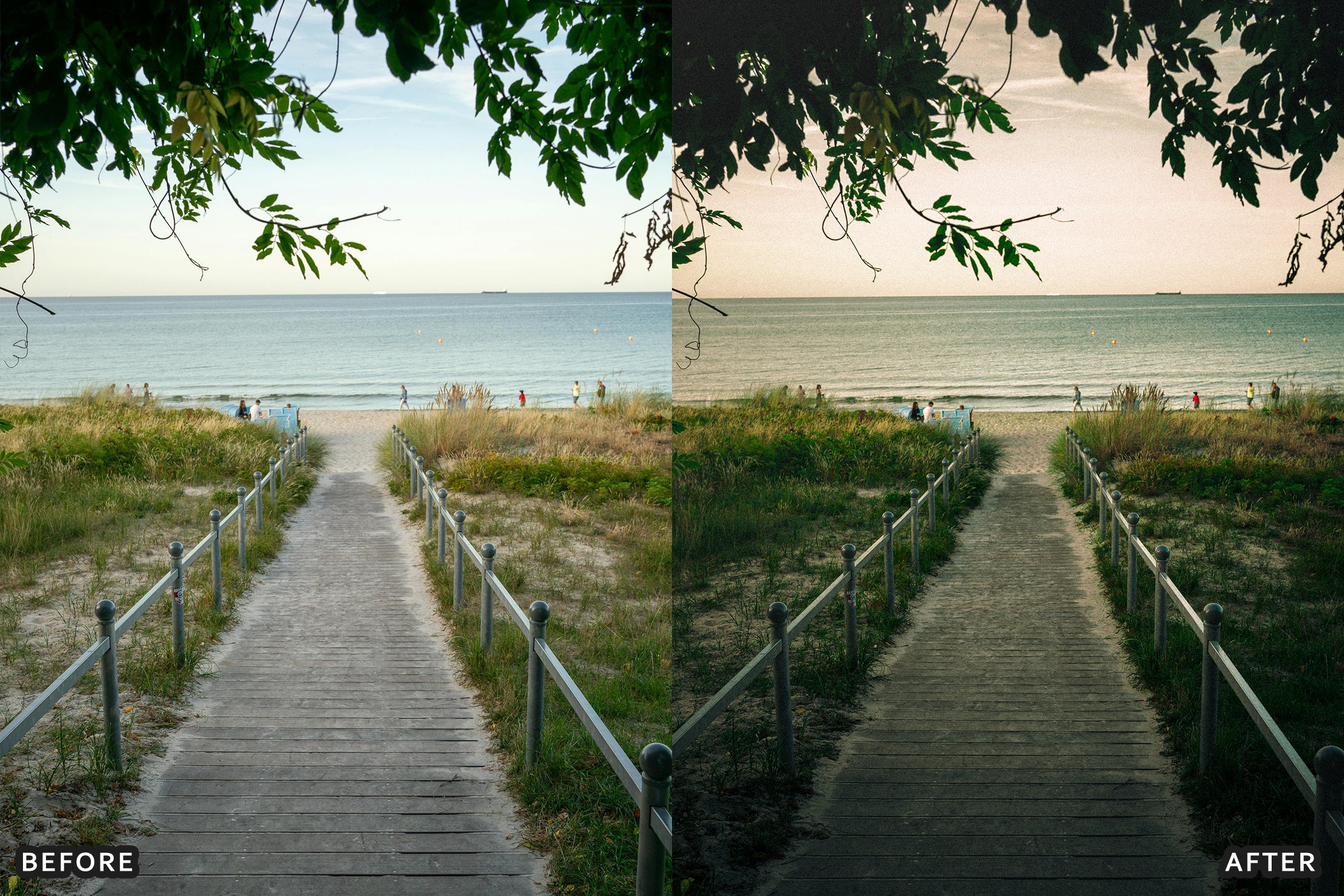 AI-Optimized Soft Nature Air Lightroom Presets