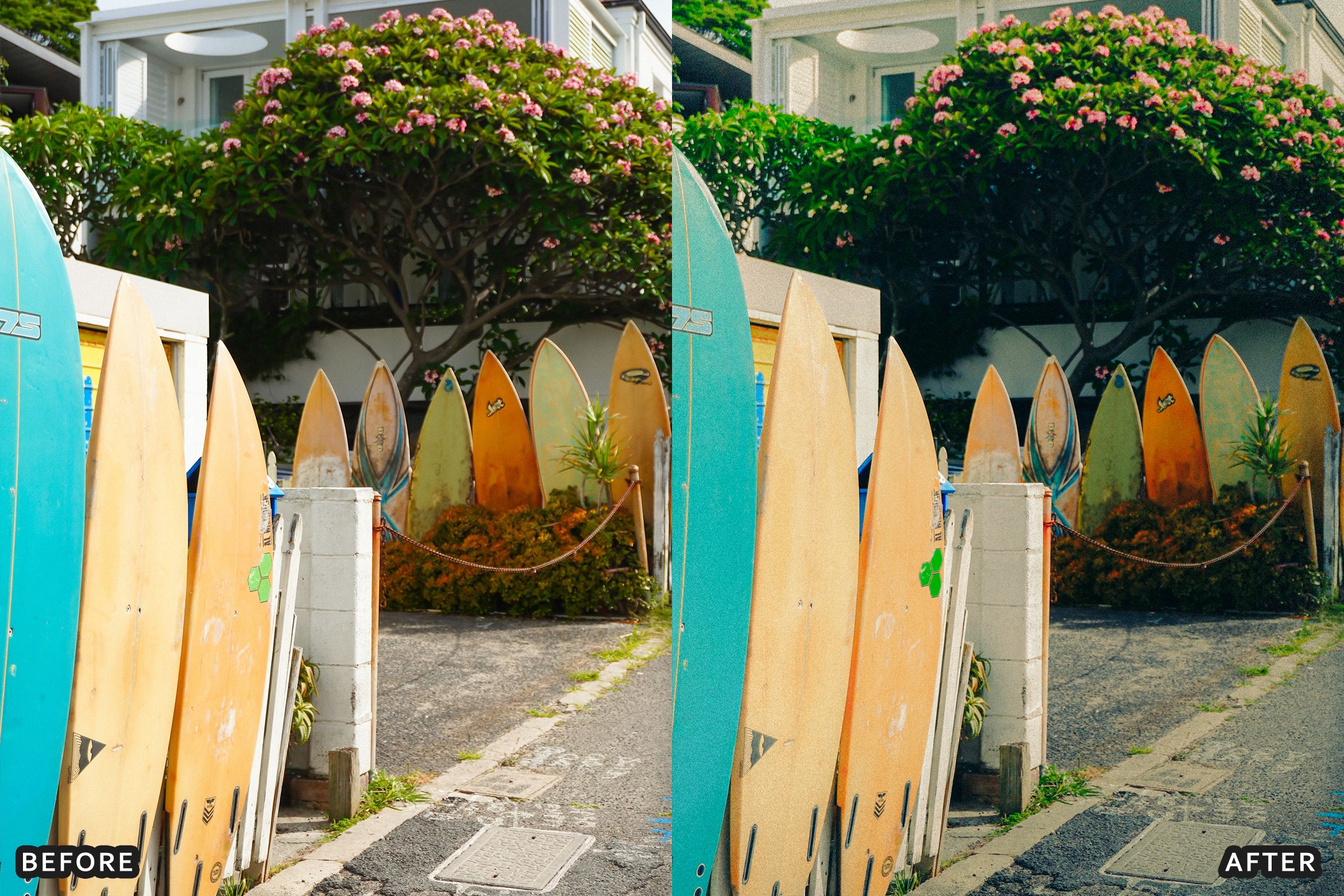 AI-Optimized Surf Culture Film Lightroom Presets