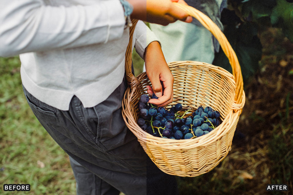 AI-Optimized Vineyard Harvest Lightroom Presets