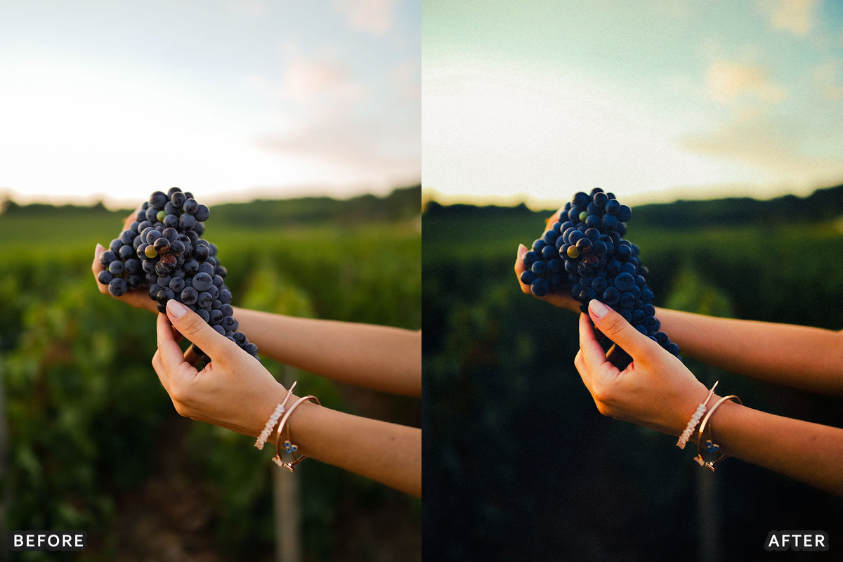 AI-Optimized Vineyard Harvest Lightroom Presets