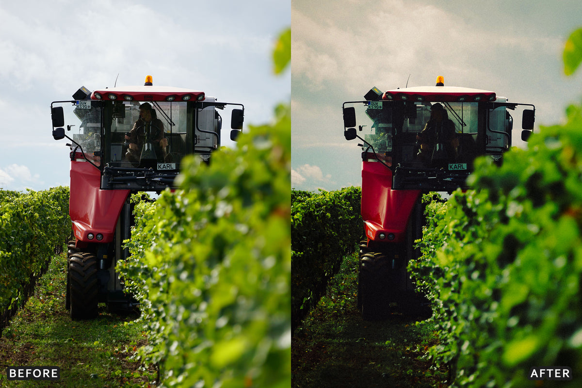 AI-Optimized Vineyard Harvest Lightroom Presets