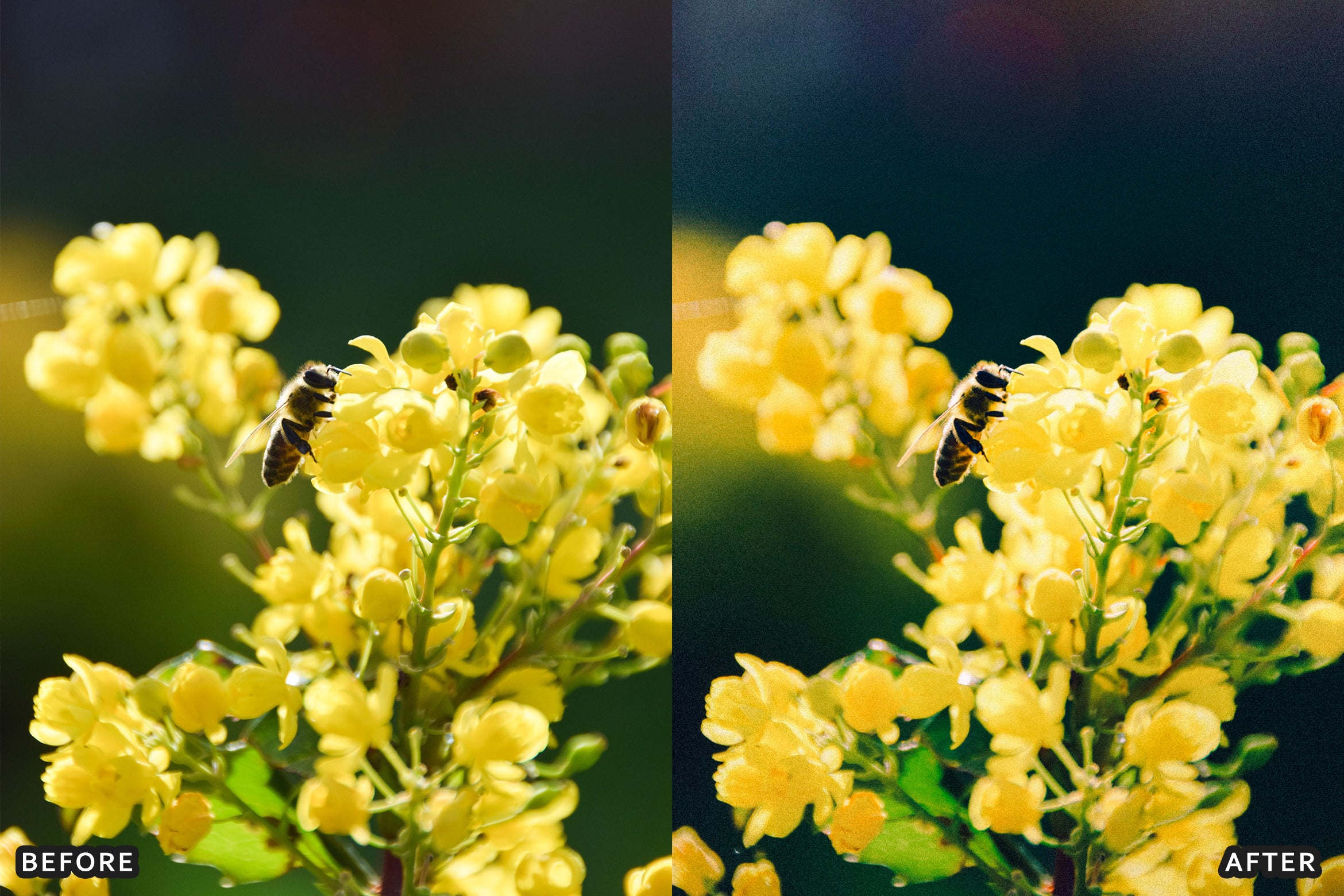 AI-Optimized Amalfi Lemon Lightroom Presets