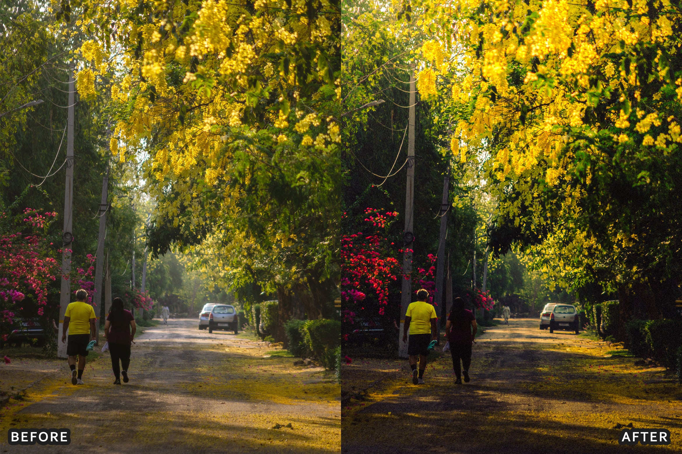 AI-Optimized Amalfi Lemon Lightroom Presets
