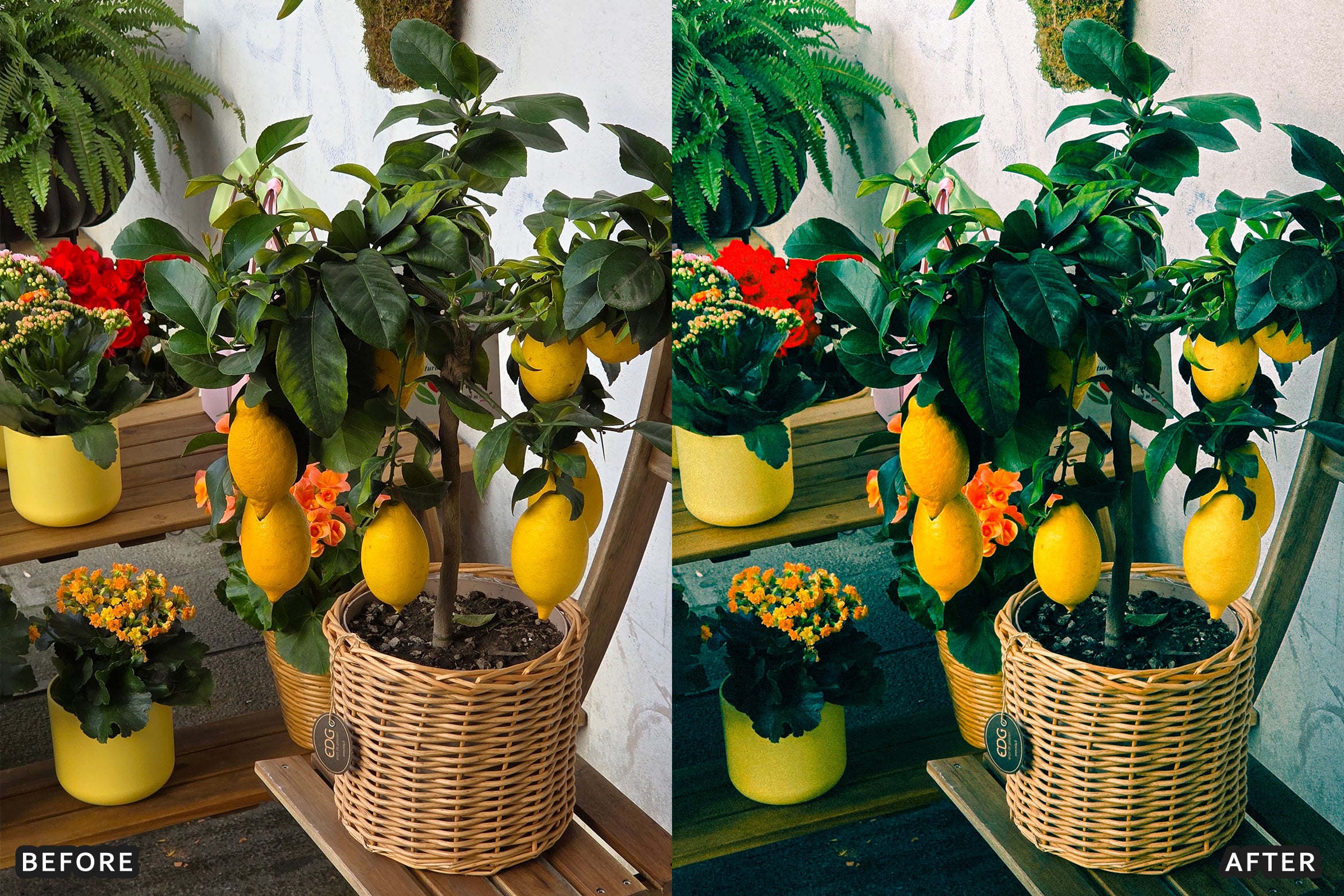 AI-Optimized Amalfi Lemon Lightroom Presets