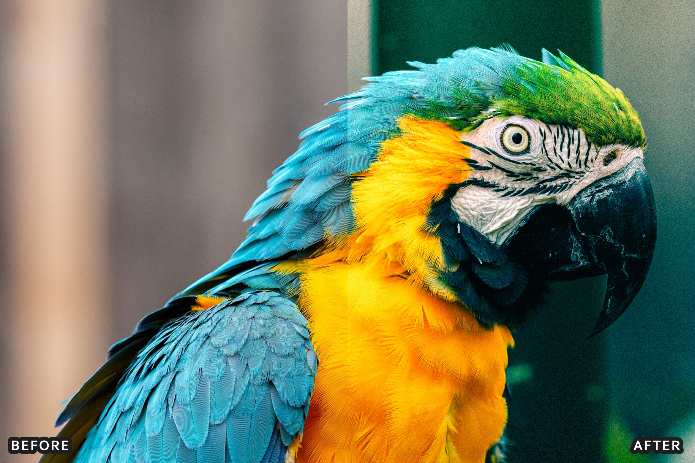 AI-Optimized Amalfi Lemon Lightroom Presets