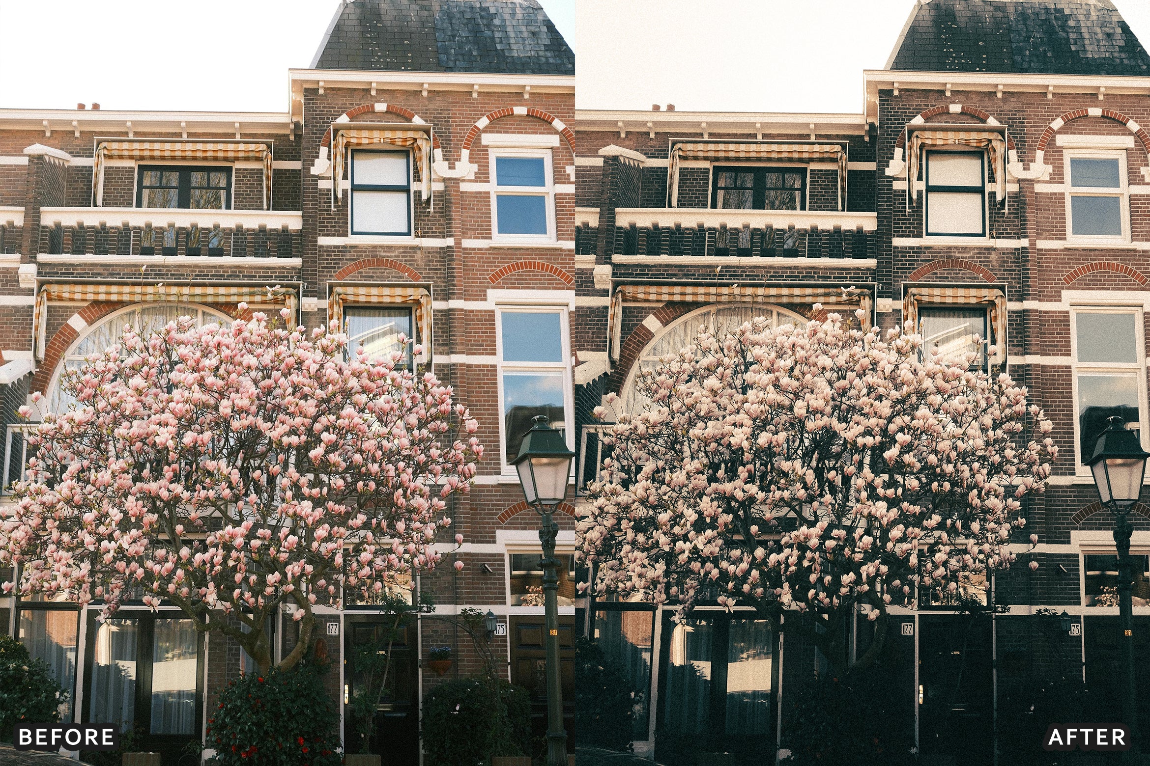 AI-Optimized Antique Rose Fade Lightroom Presets