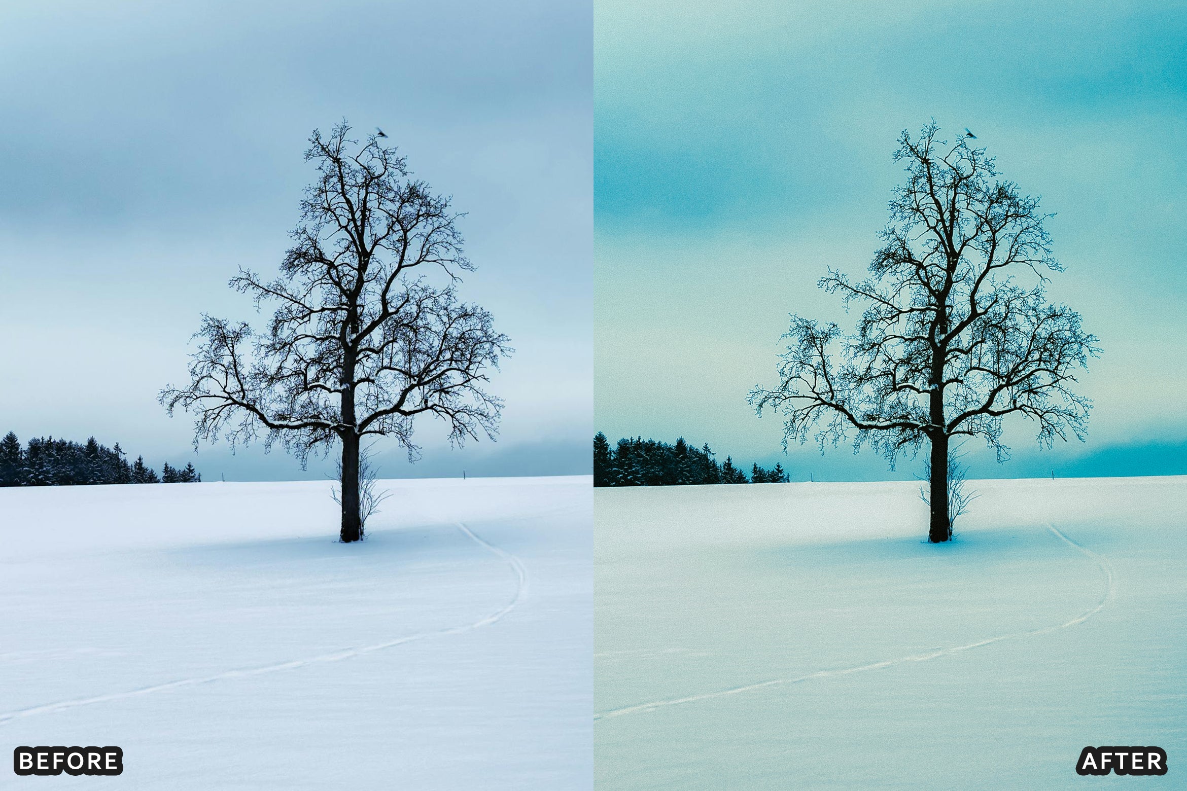 AI-Optimized Winter Snow Landscape Lightroom Presets - Lightroom Presets - by AAA Presets