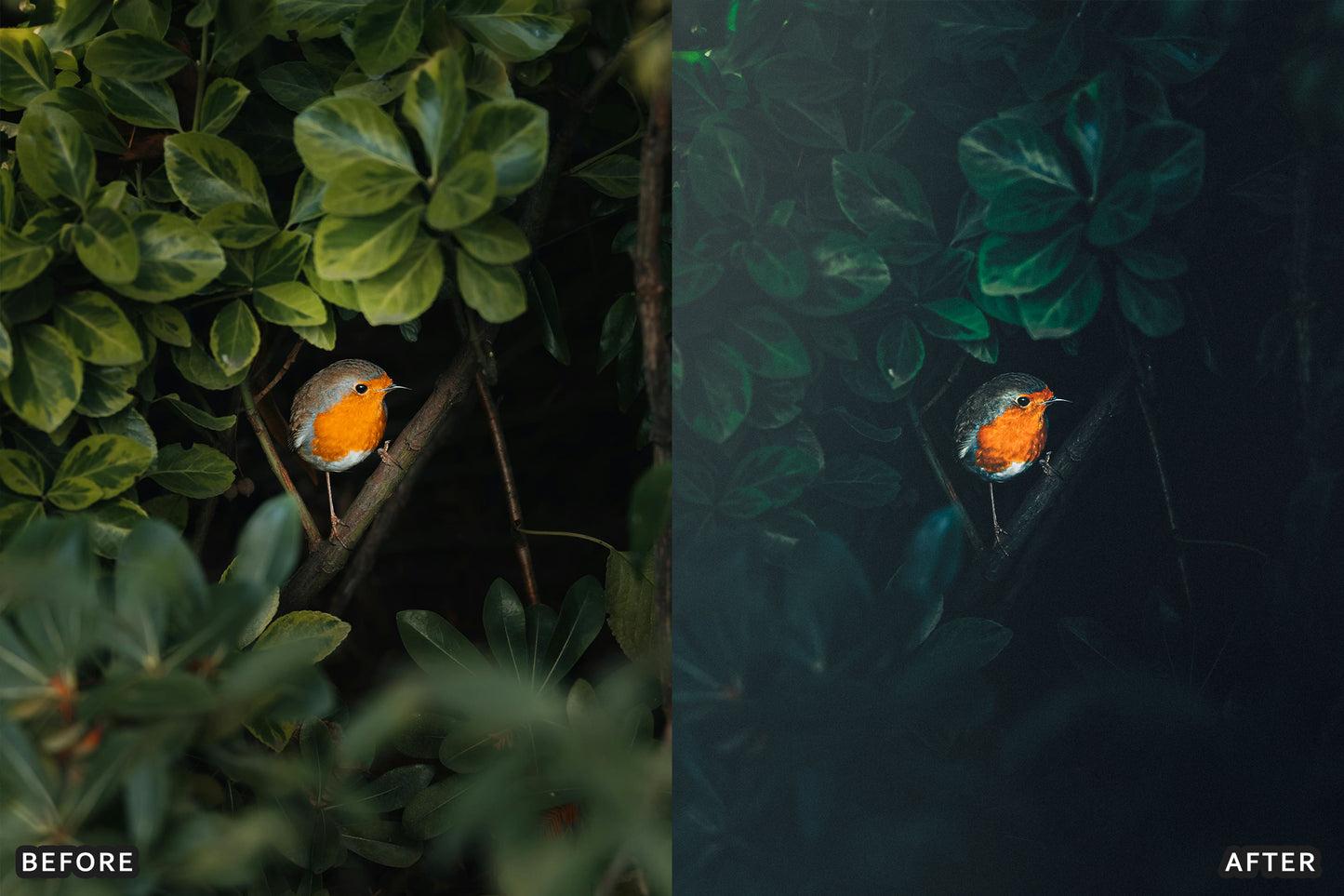 AI-Optimized Dark Green Lightroom Presets