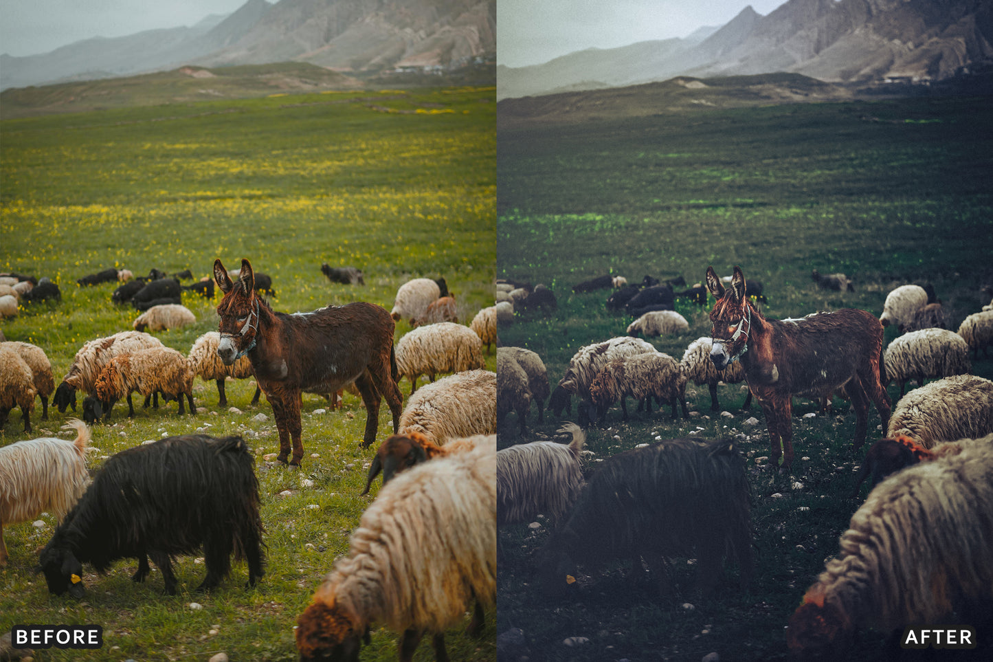 AI-Optimized Dark Green Lightroom Presets