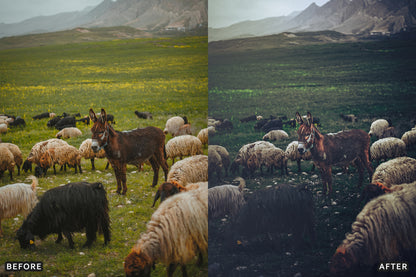 AI-Optimized Dark Green Lightroom Presets