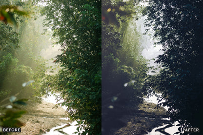 AI-Optimized Dark Green Lightroom Presets