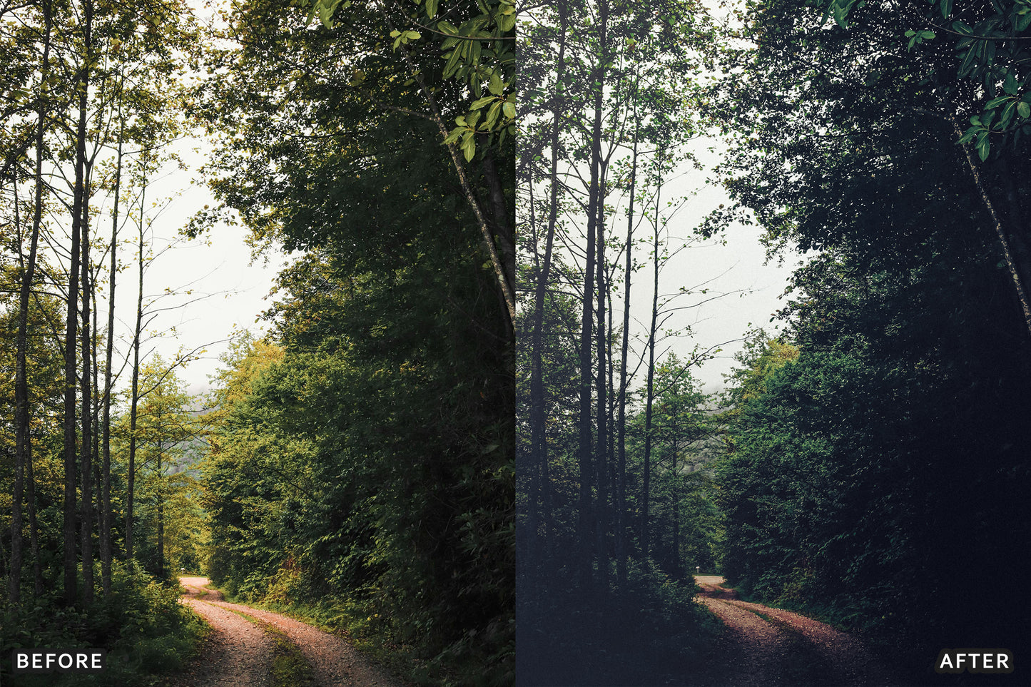 AI-Optimized Dark Green Lightroom Presets