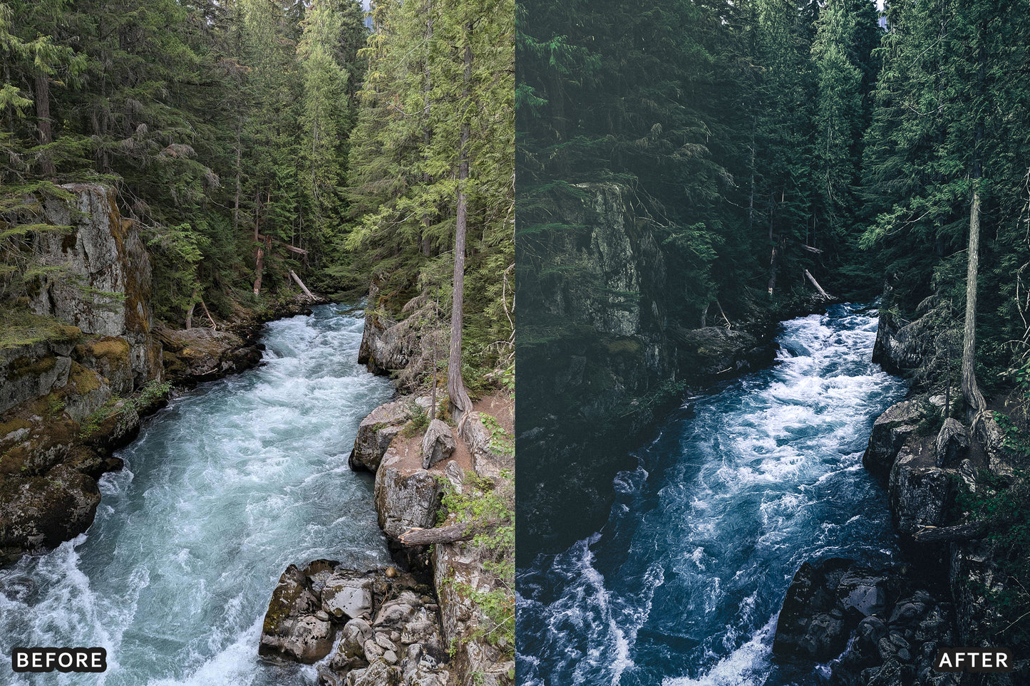 AI-Optimized Dark Green Lightroom Presets