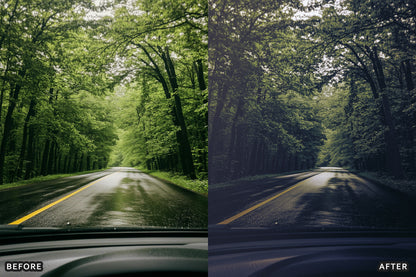 AI-Optimized Dark Green Lightroom Presets