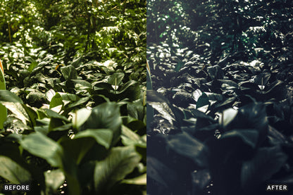 AI-Optimized Dark Green Lightroom Presets