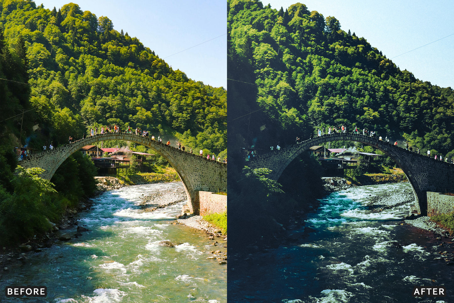 AI-Optimized Dark Green Lightroom Presets