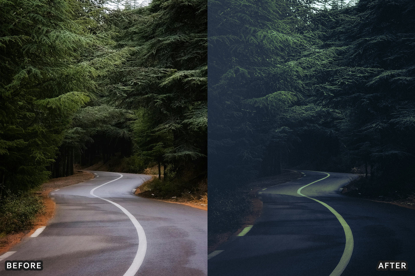 AI-Optimized Dark Green Lightroom Presets