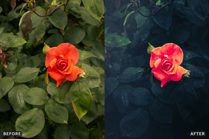 AI-Optimized Dark Green Lightroom Presets