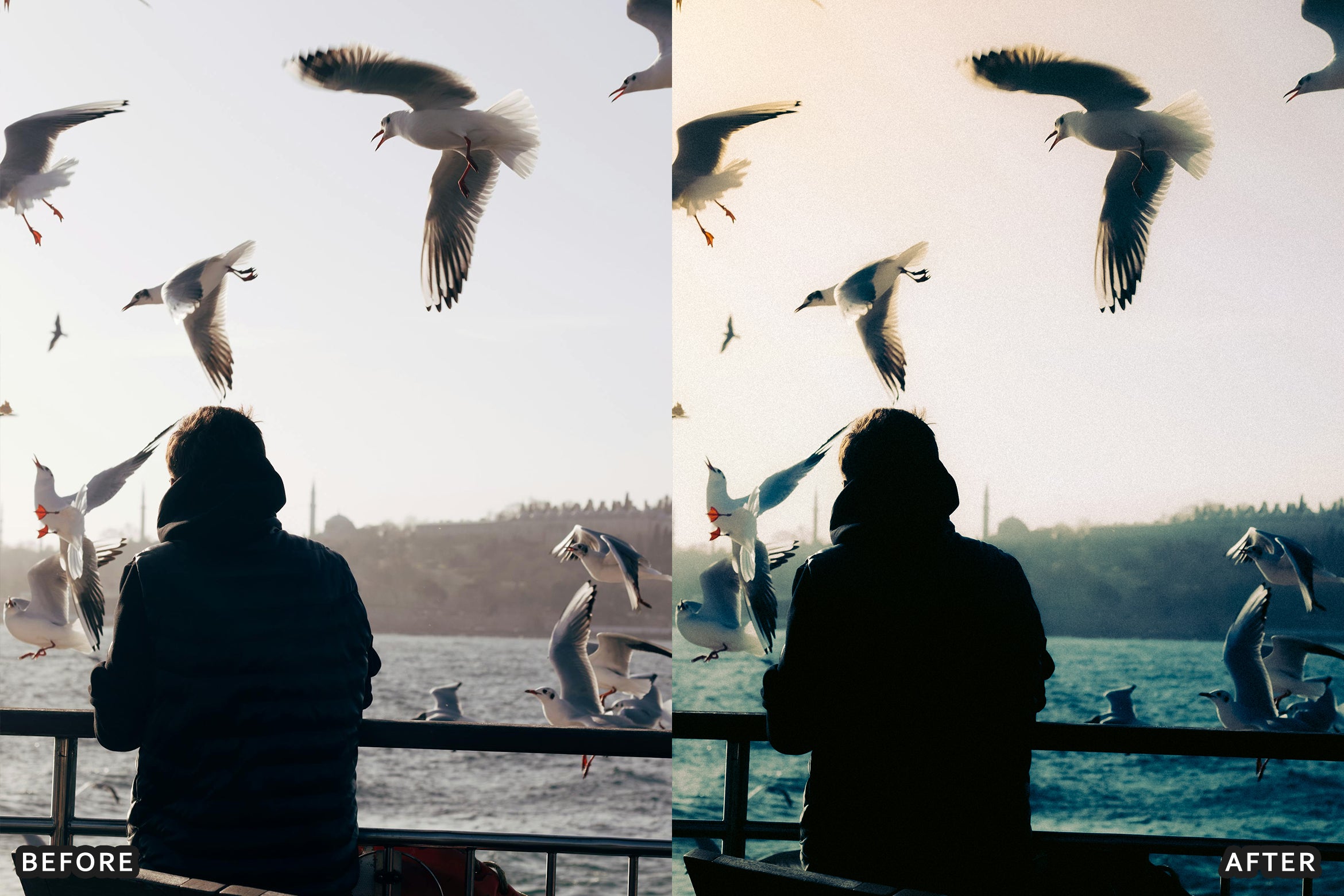 AI-Optimized Vintage 35mm Flash Lightroom Presets