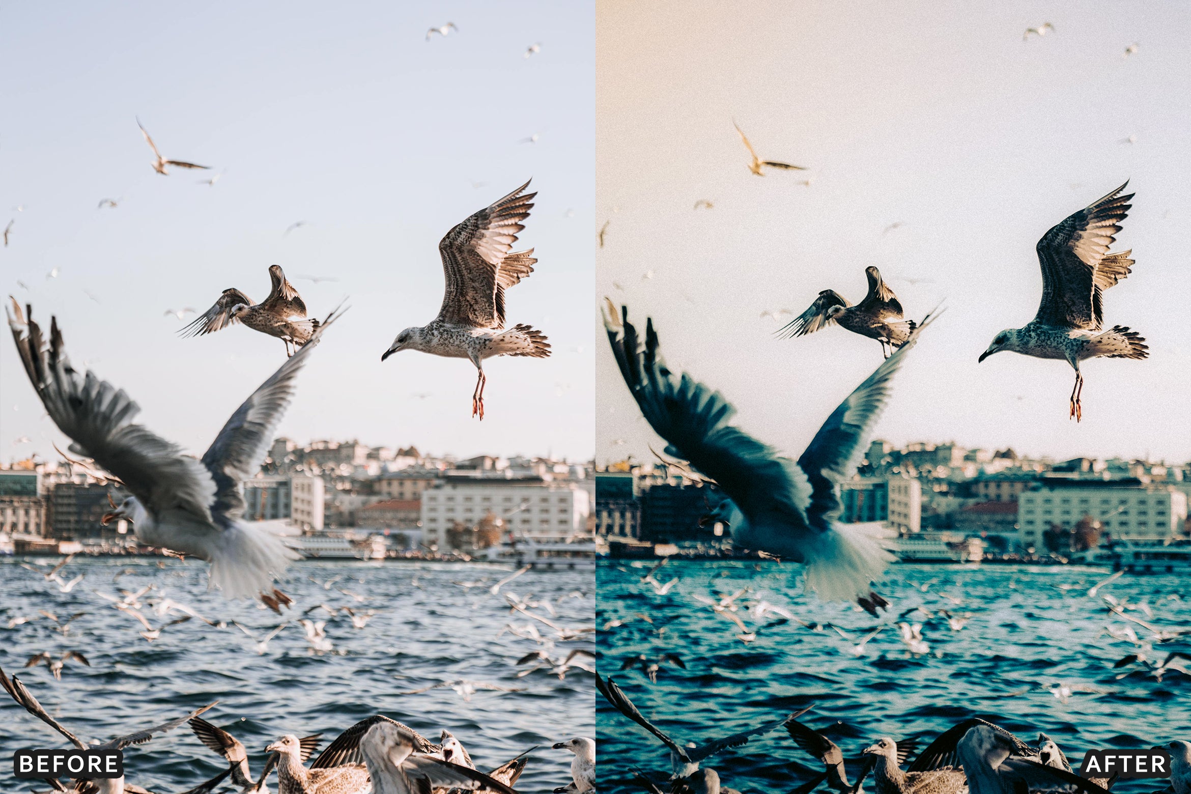 AI-Optimized Vintage 35mm Flash Lightroom Presets