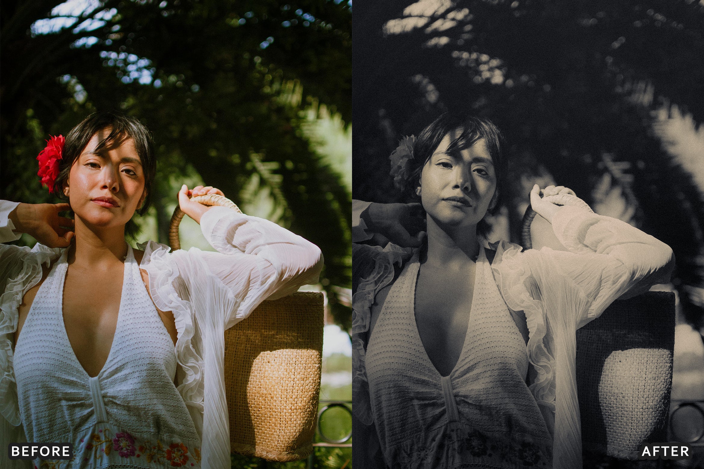 AI-Optimized Luxury Black and White Lightroom Presets