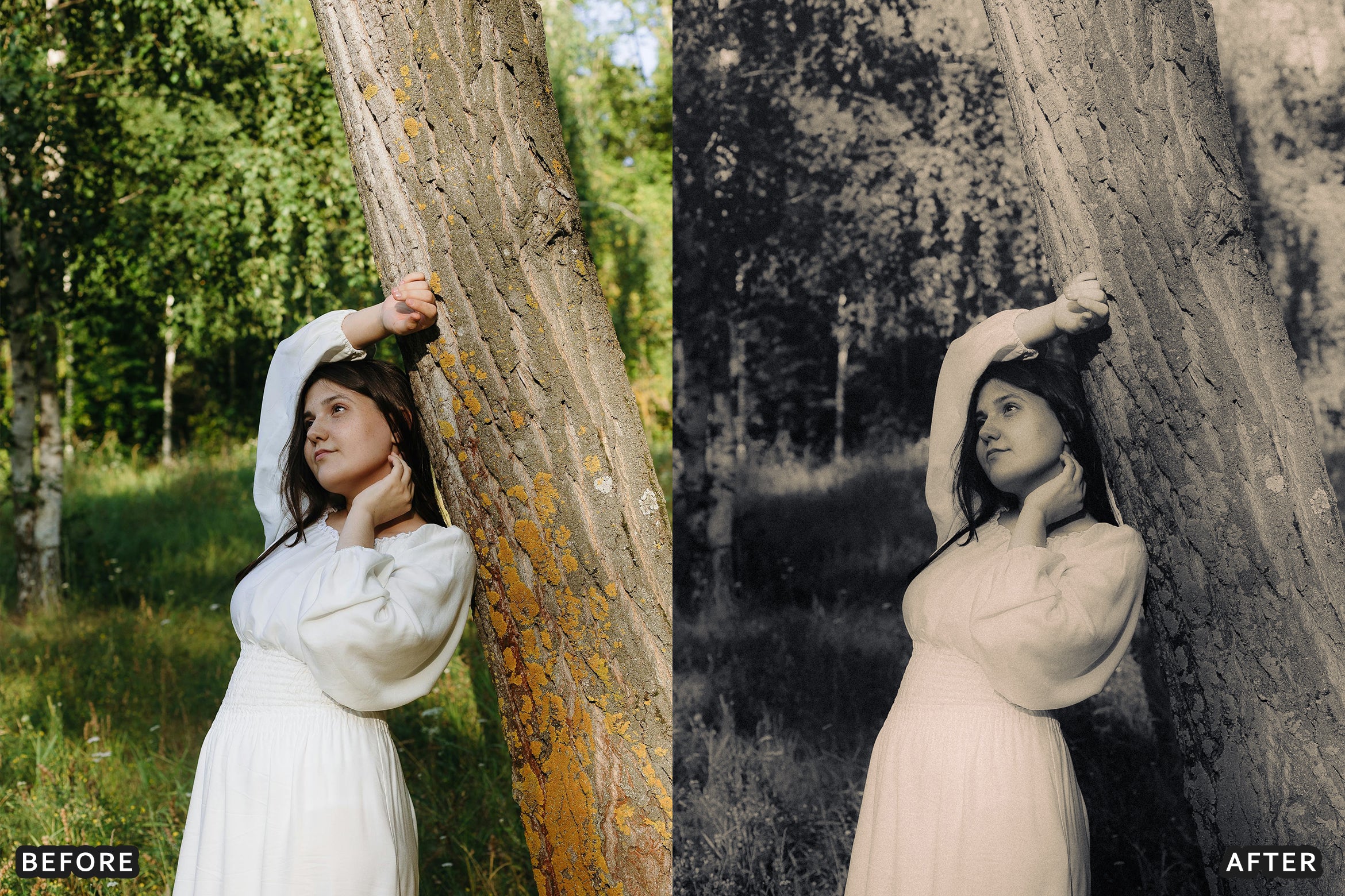 AI-Optimized Luxury Black and White Lightroom Presets